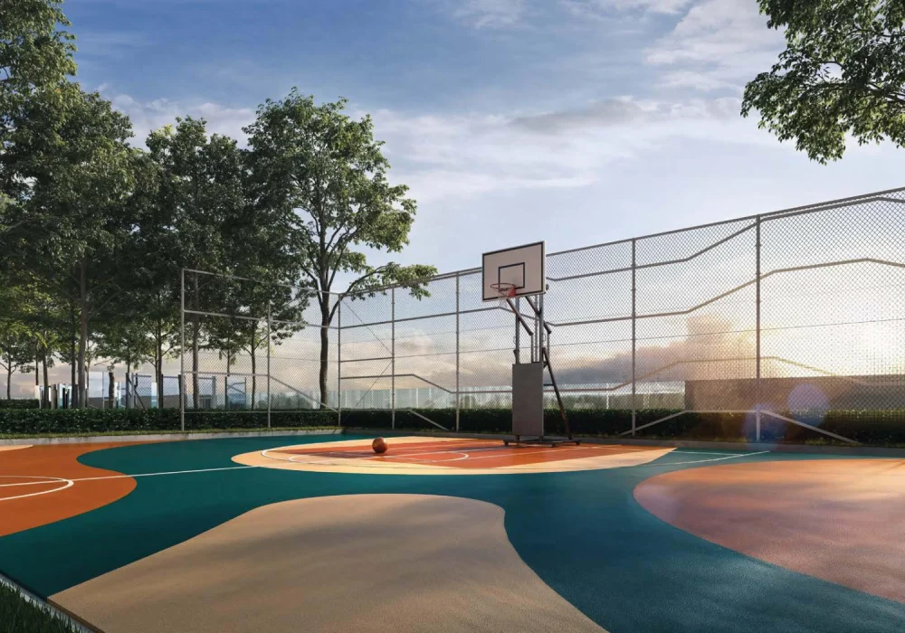 half basketball court